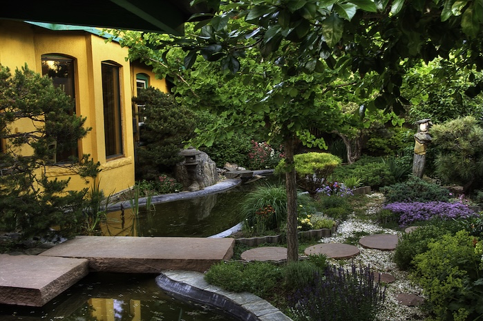Stepping stones over the pond