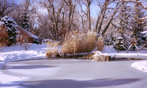Zendo meditation practice